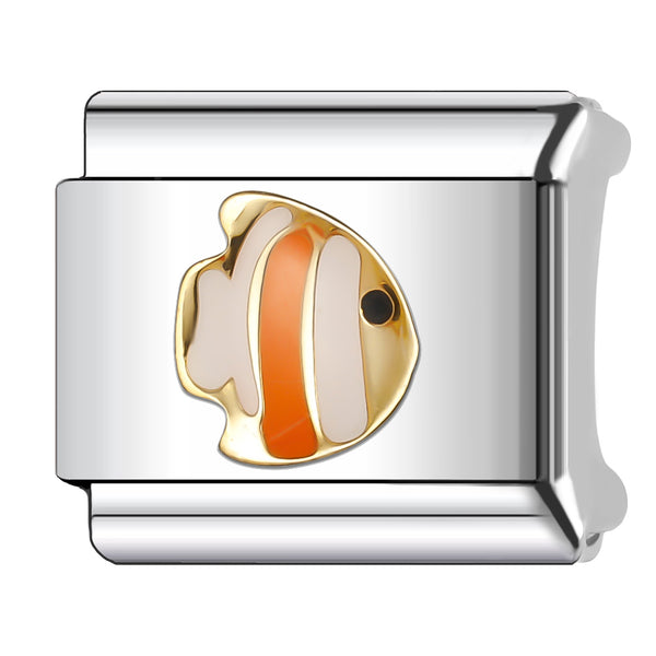 Clownfish