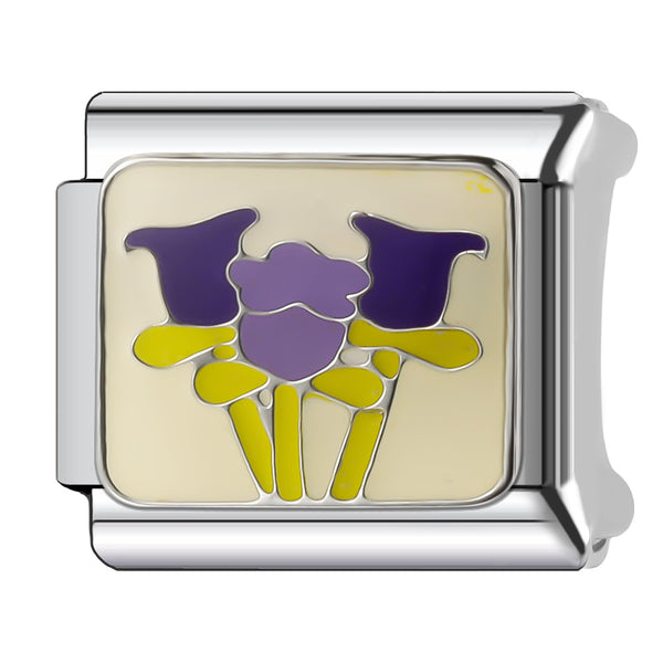 Iris