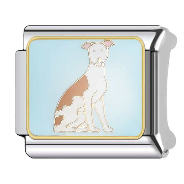 Greyhound